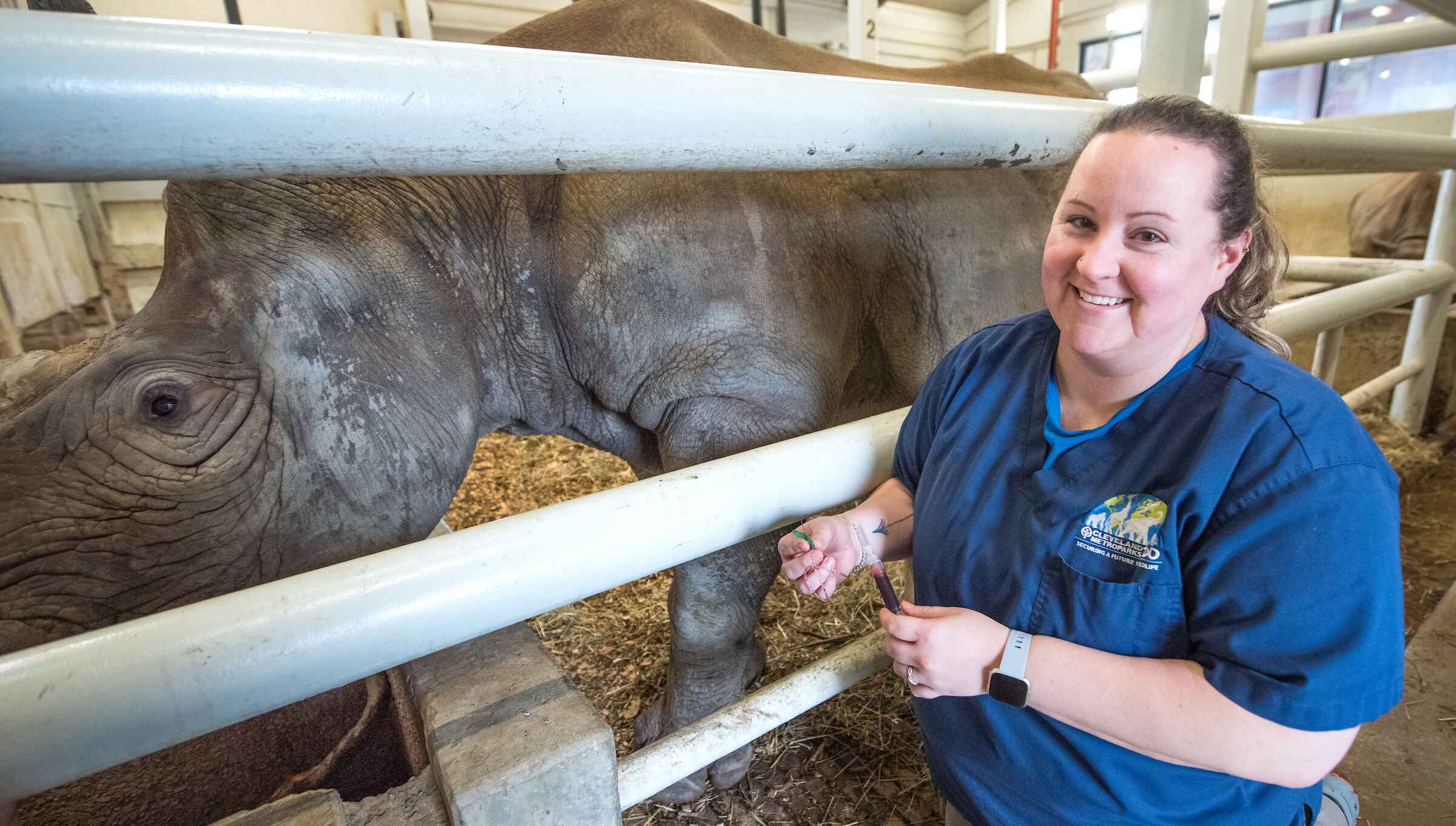 A white woman next to a rhinoceros about to give him a shot