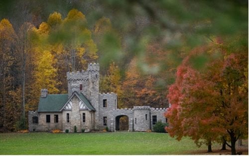 Castle in the middle of a forest with the leaves changing color