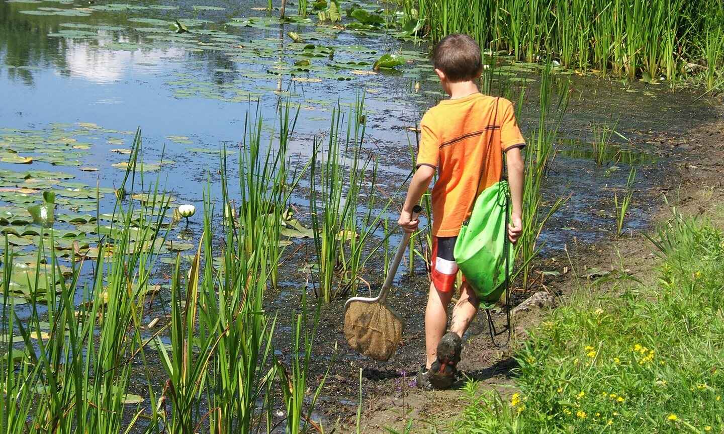 Boy walking along a pond with a net