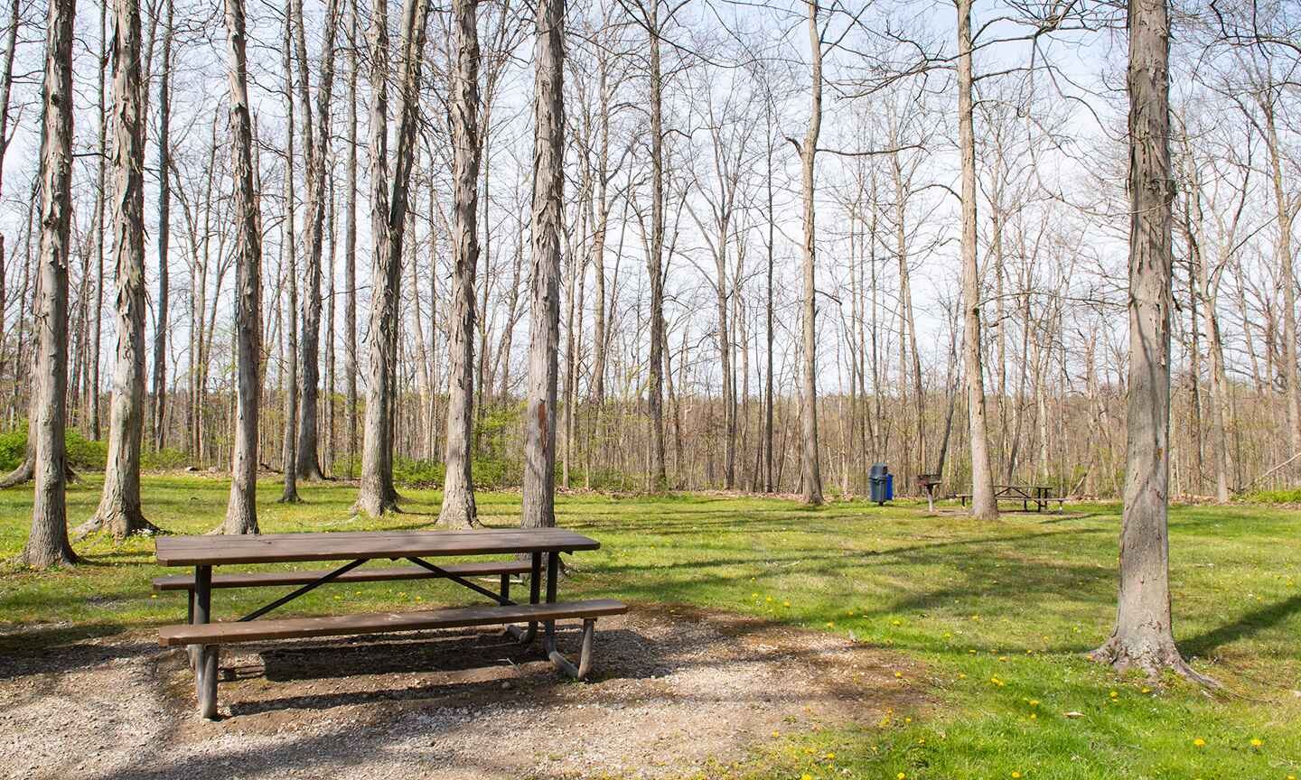 Indian Point Picnic Area