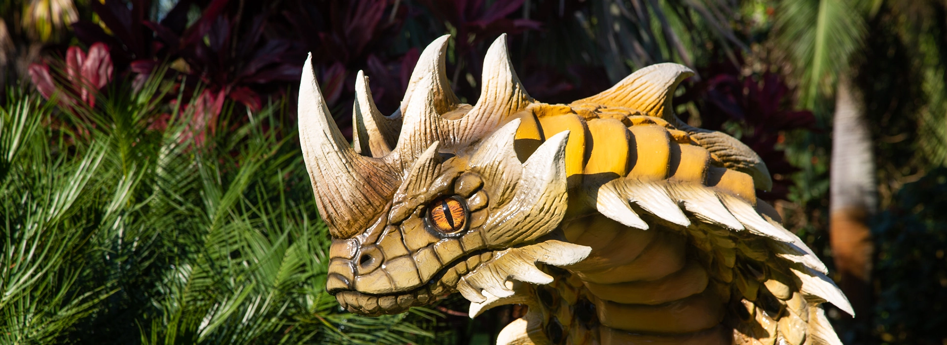 Dragons-Landing-Header_1