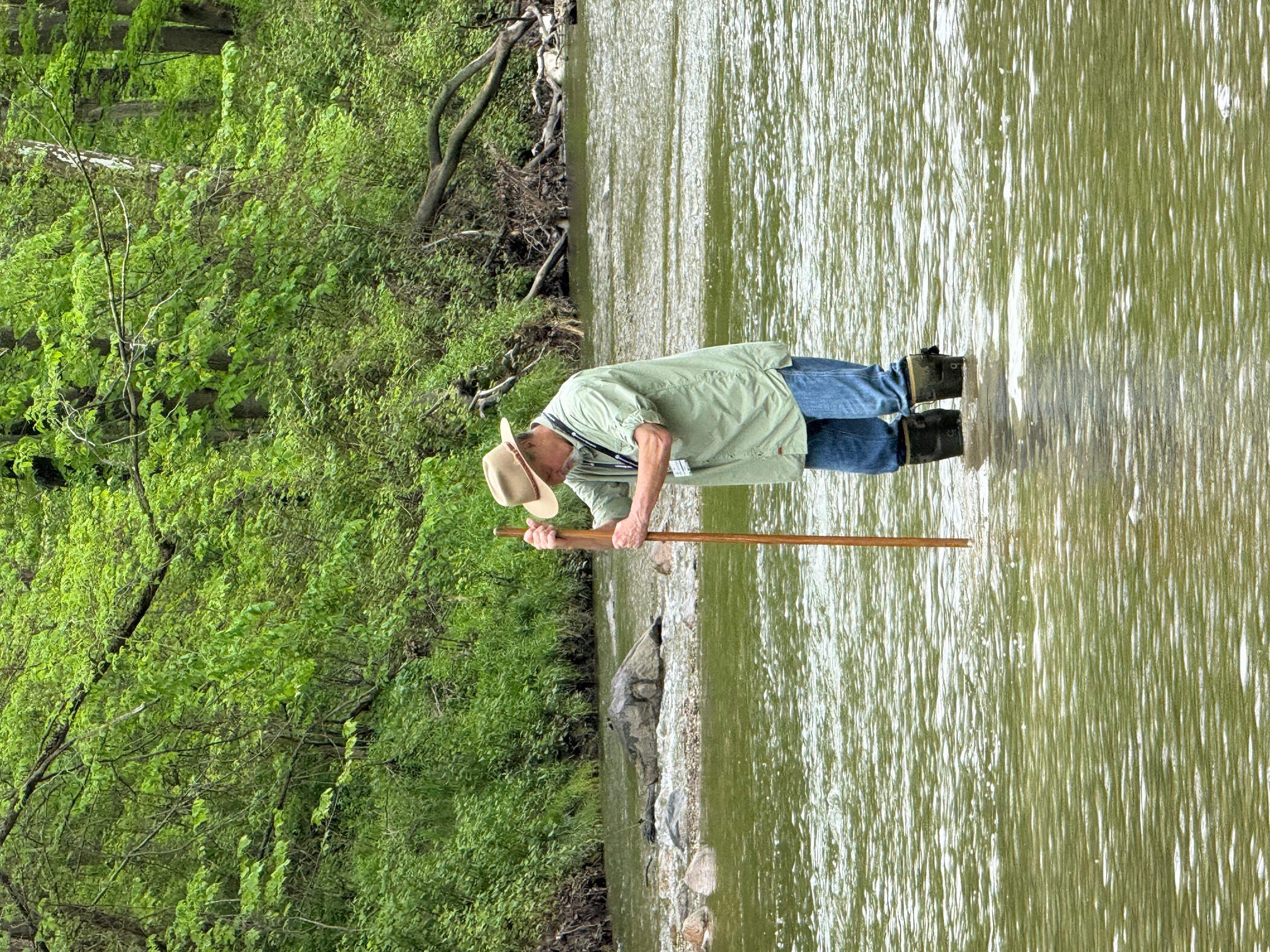 IMG_4932.jpg