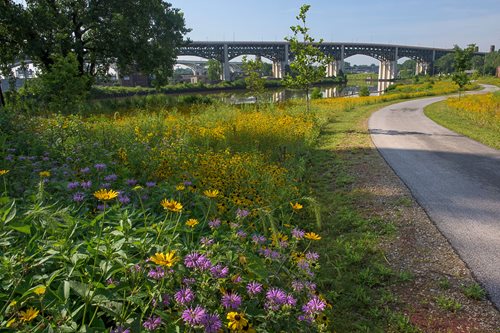 A road driving into a bridge with wildflowers growing on the side of the road