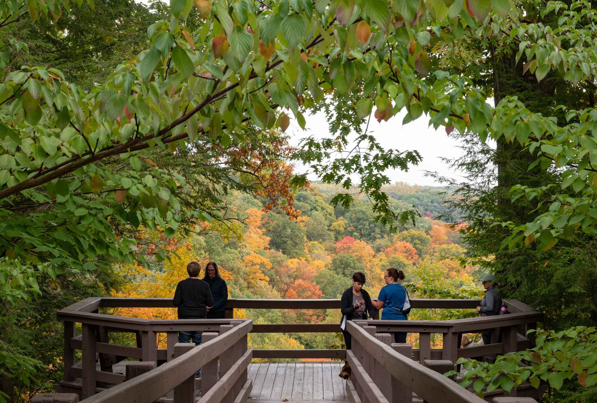 tinkers-creek-(1).jpg people are standing on a bridge looking at the trees, a stock photo inspired by Henry Carr, shutterstock contest winner, heidelberg school, fall foliage, autumn foliage in the foreground, fall vibrancy