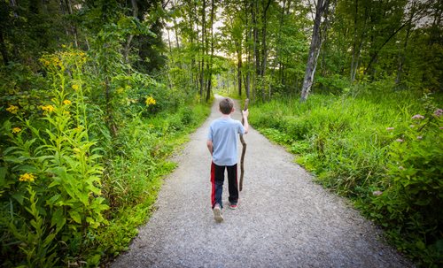 A boy walks thoughtfully down a wooded path, enveloped by trees and nature's beauty.
