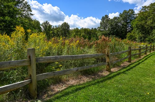 A wooden fence stands prominently in the center of a lush, green grassy field under a clear blue sky.