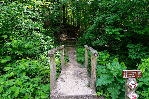 My-Mountain-Trail-01.jpg