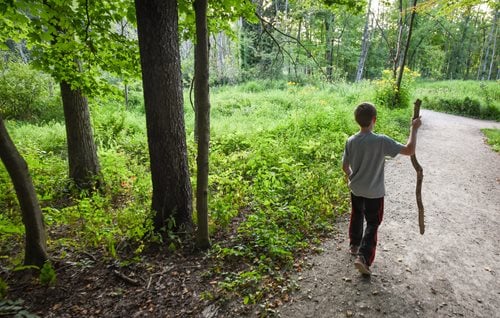 A man strolls down a forest path, using a stick for support, amidst lush greenery and tall trees.