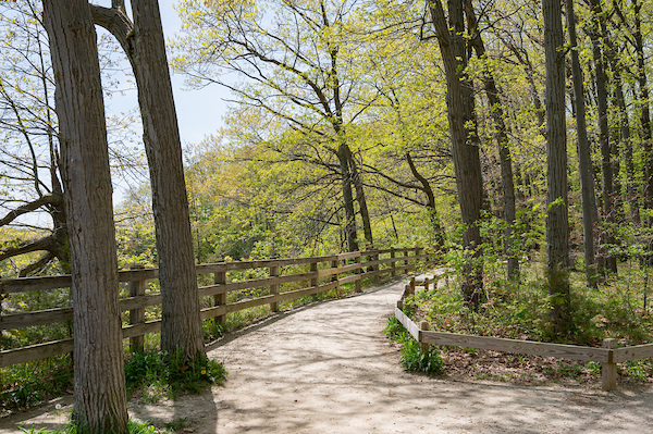Shephard-Lane-Trail-Rocky-River-Reservation.jpg