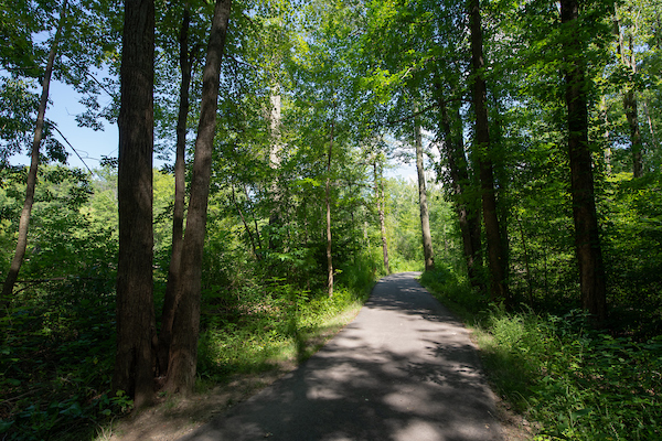 Cahoon-Creek-Loop-Bradley-Woods.jpg