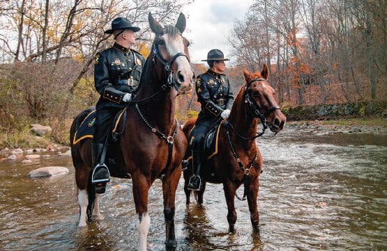 mounted_police.jpg