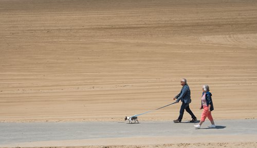araffe walking a dog on a leash on a beach, a stock photo inspired by Elliott Erwitt, trending on flickr, precisionism, martin parr, walking over sand dunes, motion blur of people walking