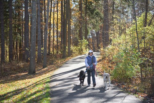 there is a man and two dogs walking down a road, a stock photo inspired by Henry Carr, shutterstock contest winner, hudson river school, parks and public space, wide greenways, hiking cane