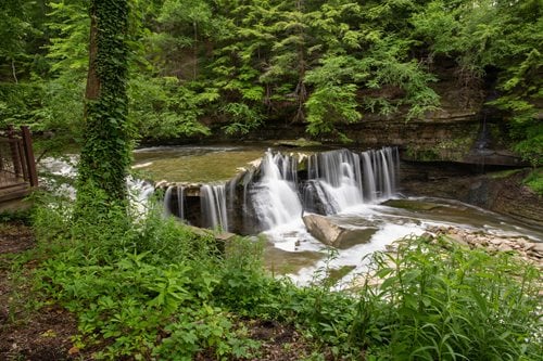 A picturesque waterfall surrounded by dense woods, with a wooden walkway providing access to the stunning natural landscape.